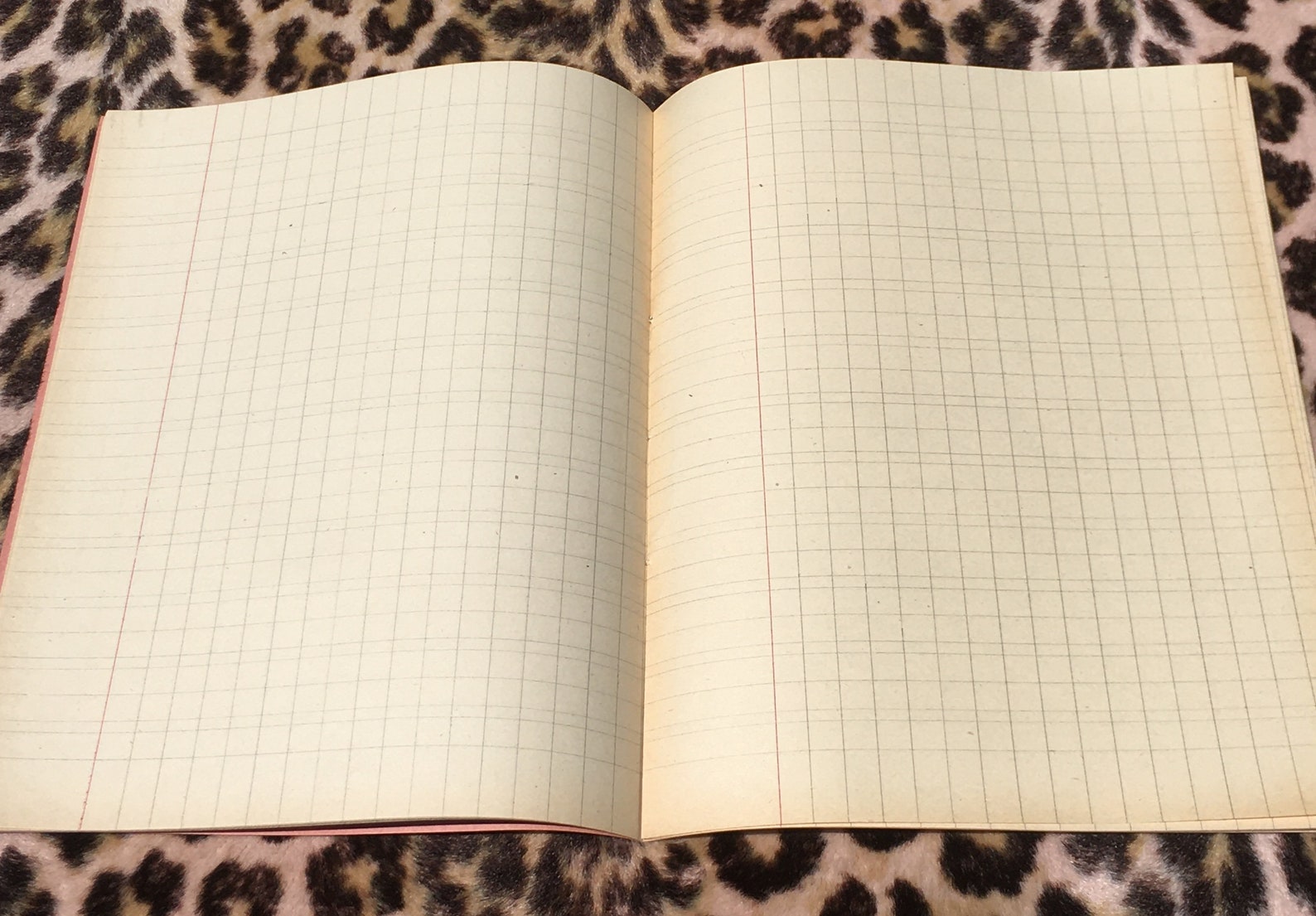 French Art Deco 1920s School Student NOTEBOOK / EXERCISE BOOK - Etsy