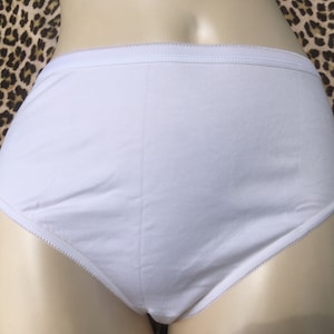 Vintage 1970's Deadstock NWT Womens Panties Maidenform White Briefs Panties  Panty No Show Body Talk Size 4-7 OR Olga Nude Size 5 Briefs -  Canada