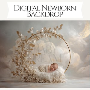 以下が含まれることがあります： デジタル新生児用背景。クリーム色の毛布に包まれた眠っている赤ちゃん。赤ちゃんは、ベージュの葉と花で飾られた金の円形フレームに囲まれた、ふわふわの白い雲のような表面にいます。背景は柔らかく、曇っています。
