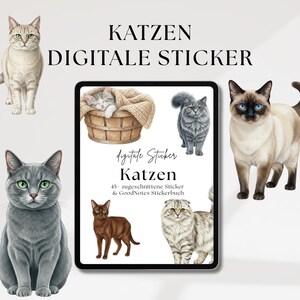 Könnte beinhalten: Digitales Sticker-Set mit verschiedenen Katzenillustrationen. Das Bild enthält ein Tablet, das digitale Sticker mit dem Wort "Katzen" und dem Text "digitale Sticker" anzeigt. Um das Tablet herum befinden sich Illustrationen verschiedener Katzenrassen.