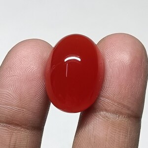 May include: A vibrant, polished, oval-shaped, red gemstone. The gem is held between two fingers against a white background. The stone's surface reflects light, highlighting its smooth, glossy texture. This gemstone could be used in jewelry.