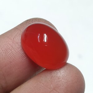 May include: A polished, oval-shaped, red gemstone. The gem is held between two fingers, showcasing its smooth, reflective surface. The stone's vibrant color and rounded form are highlighted against a plain white background.