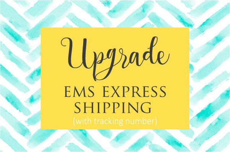 UPGRADES EMS express shipping upgrade Fast Delivery image 1