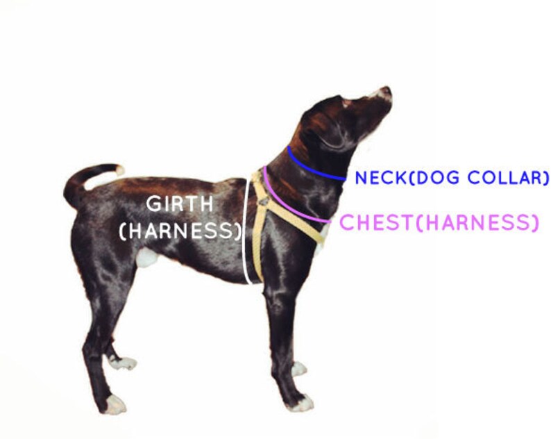 UPGRADE Matching Step in Dog Harness Etsy