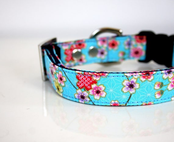 cherry blossom dog collar