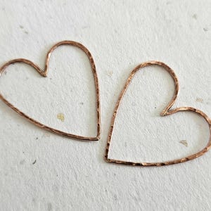 Wild Love Heart in Copper Pendant
