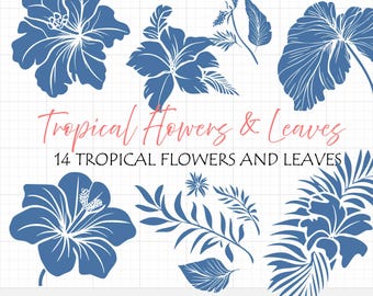 Paquete SVG de flores tropicales, conjunto de 14 flores vectoriales, hojas exóticas, plumeria hawaiana, hoja de monstera vectorial para Cricut, hibisco PNG