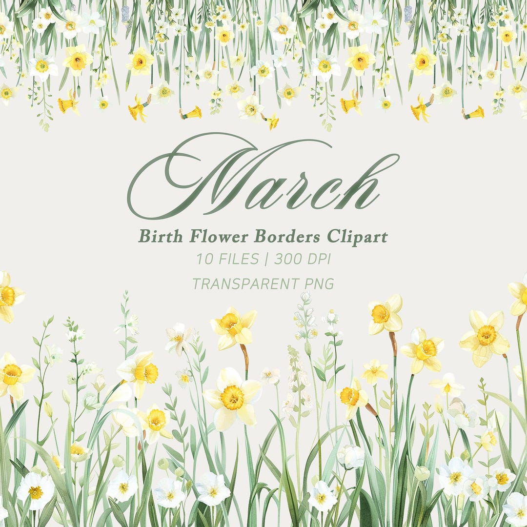 Daffodil Border Clipart Watercolor Floral Border PNG for Spring ...