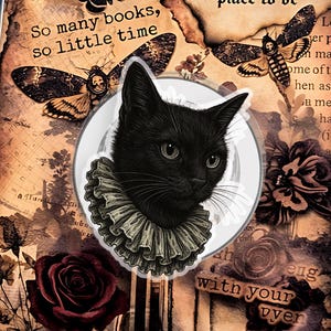 May include: A decorative book-shaped item with a black cat illustration wearing a ruffled collar. The design includes butterflies, roses, and text that reads "So many books, so little time" and "Between the pages of a book is a lovely place to be."
