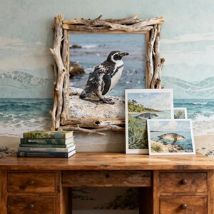 Peut inclure: Une photographie encadrée d'un manchot sur un rocher au bord de la mer. Le cadre est en bois flotté. Plusieurs petites impressions de la même image sont exposées. Une pile de livres est posée sur un bureau en bois.