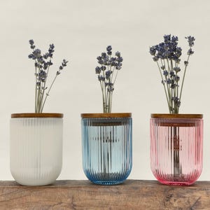 May include: Three glass vases with wooden lids, each holding dried lavender. The vases are in white, blue, and pink, and have vertical ribbed detailing. They sit on a wooden surface, creating a simple, elegant display.