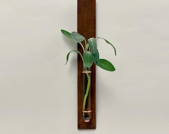 Wall Mounted Propagation Vase | Bud Vase | Plant Lover Gift
