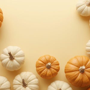 Puede incluir: Vista a&eacute;rea de una colecci&oacute;n de calabazas de varios tama&ntilde;os y colores. Las calabazas son de color naranja y blanco, con tallos verdes. Est&aacute;n dispuestas sobre un fondo amarillo claro, creando un tema oto&ntilde;al.