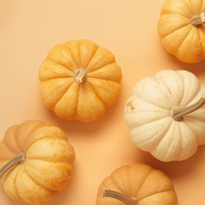 Puede incluir: Vista a&eacute;rea de varias calabazas peque&ntilde;as en tonos naranja y blanco, dispuestas sobre un fondo naranja claro. Las calabazas tienen superficies acanaladas y tallos marrones, evocando un tema de cosecha de oto&ntilde;o.