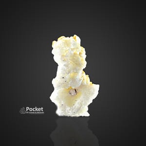 Puede incluir: Un espécimen mineral de color claro y textura rugosa con apariencia en capas. El mineral tiene una base blanca cremosa con parches amarillos y una pequeña inclusión oscura. La imagen incluye el texto "Pocket of Crystals & Minerals".