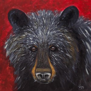 BLACK BEAR Giclee Print of Original Painting on Archival Stretched CANVAS, Nature Wildlife Animal painting signed and ready to hang