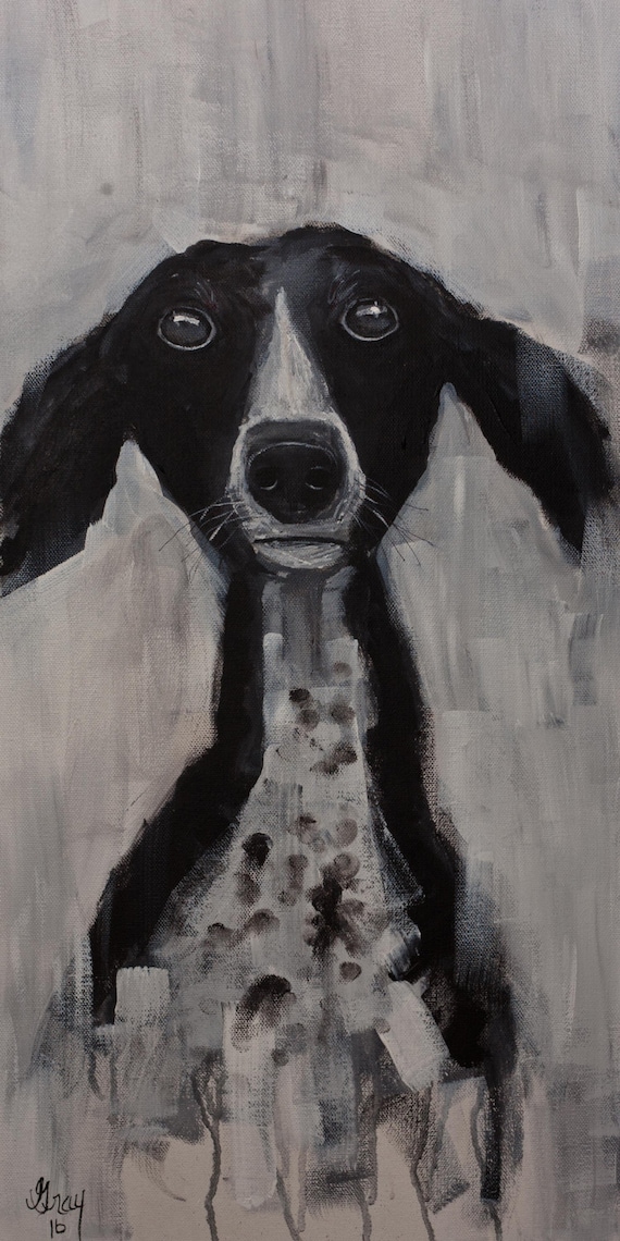 black and white mutt dog