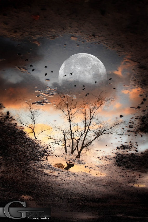芸術写真 Nature Photograph Full Moon Art Print Full Moon Sunrise Reflection, Signed Canvas Wall Art - Etsy