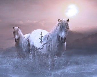 Surreal White Horses Canvas Art Print, Fantasy Landscape, Ready to Hang