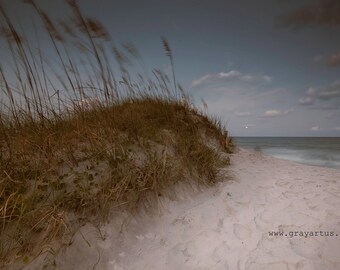 North Carolina Sand Dunes Photography, Coastal Seascape Canvas Print