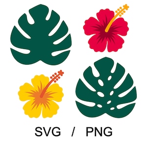 May include: A graphic illustration featuring two green monstera leaves and two hibiscus flowers. One hibiscus is red, the other is yellow. The text "SVG / PNG" is at the bottom of the image.