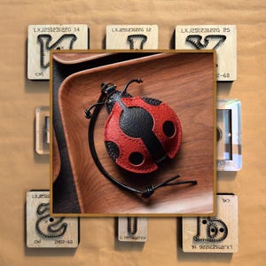 May include: A red and black leather ladybird-shaped coin purse with a black cord. The purse is centered on a wooden tray. Surrounding the tray are wooden blocks with various shapes and text.
