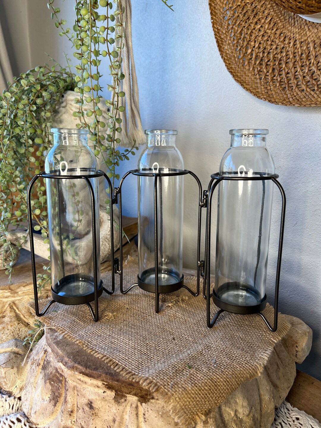 Propagation Bottle Propagation Station Glass Bottle Etsy