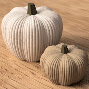 Può includere: Due zucche decorative in tonalità neutre. La più grande è bianco sporco, la più piccola è beige. Entrambe hanno trame a coste e steli verde scuro, perfette per l'arredamento autunnale.