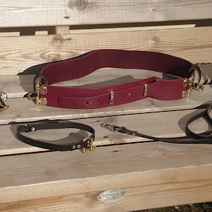 Leather bondage belt, cuffs, collar and lead.