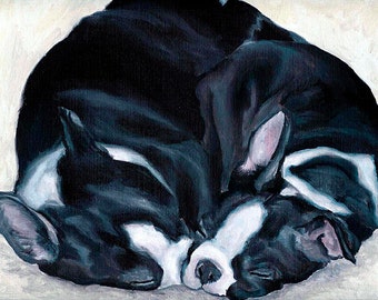 Sleeping Boston Terrier Puppies Signed Dog Art PRINT of Original Oil Painting Artwork by Vern 8x10 11x14 13x19