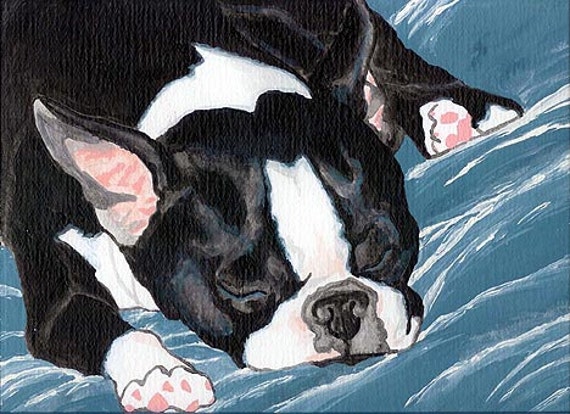 11X14 BOSTON TERRIER NAP Art PRINT of Painting by VERN