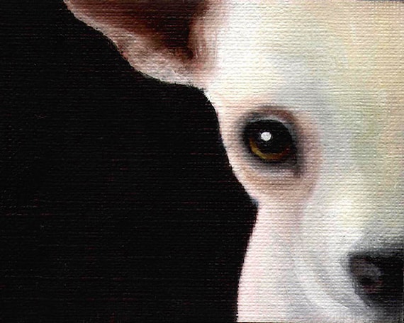 11X14 BOSTON TERRIER PUPPIES Signed Dog Art PRINT of Original Oil Painting VERN