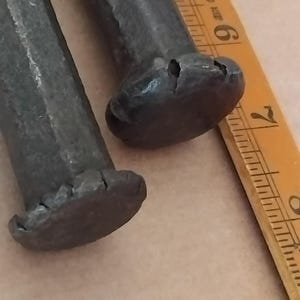 Peut inclure: Deux clous en fer forgé à la main, gris foncé, avec des tiges carrées et des têtes arrondies martelées. Une règle en bois jaune est placée à côté des clous, montrant que les têtes mesurent environ 1,9 cm et les tiges 1,3 cm de large.
