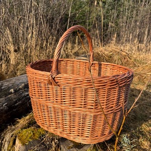 Pu&ograve; includere: Un cesto di vimini marrone con un design intrecciato e un manico curvo. Il cesto &egrave; appoggiato su una superficie di legno ricoperta di muschio, con uno sfondo naturale di alberi e fogliame. Il cesto &egrave; probabilmente fatto a mano.