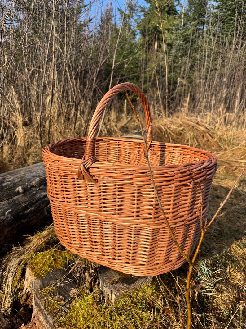 Pu&ograve; includere: Un cesto di vimini marrone con un design intrecciato e un manico curvo. Il cesto &egrave; appoggiato su una superficie di legno ricoperta di muschio, con uno sfondo naturale di alberi e fogliame. Il cesto &egrave; probabilmente fatto a mano.