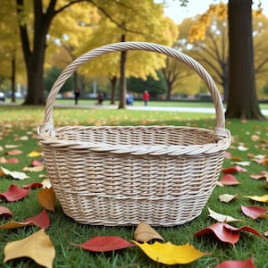 Colorful Weave Market Basket - Colorful Weave Market Basket