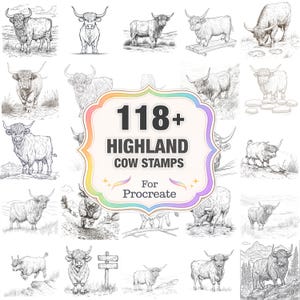 Puede incluir: Una colección de sellos de vacas de las Tierras Altas para Procreate, con varias ilustraciones de la raza escocesa. La imagen incluye un gráfico central con el texto "118+ HIGHLAND COW STAMPS For Procreate", rodeado de múltiples dibujos de vacas.