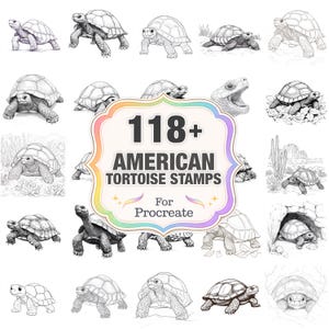 May include: An image featuring multiple illustrations of American tortoises in various poses and styles. The central graphic reads "118+ AMERICAN TORTOISE STAMPS For Procreate."