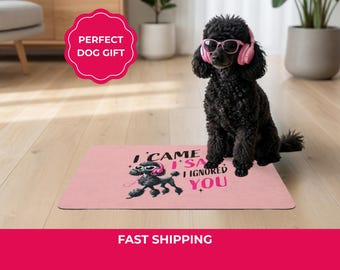 Personalized Dog Food Mat, Funny Feeding Placemat, Non Slip Dog Lover Gift