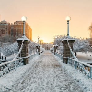 Photograph of the Boston Public Garden