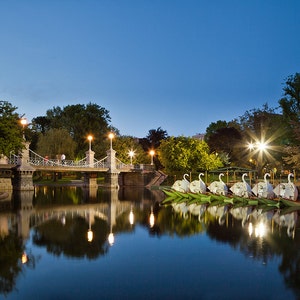 Photograph of the Boston Public Garden