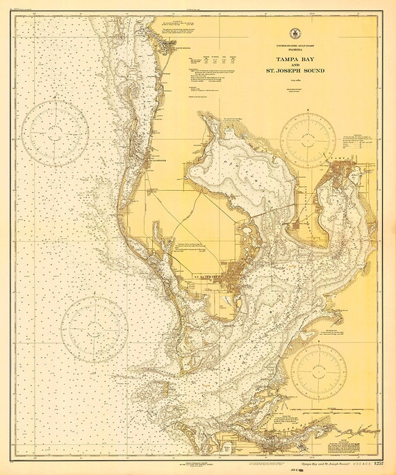 Tampa Bay Nautical Chart