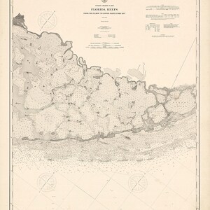 Récifs de Floride 1907