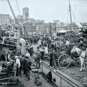 Vintage Photograph of the Banana Docks in New York circa 1900