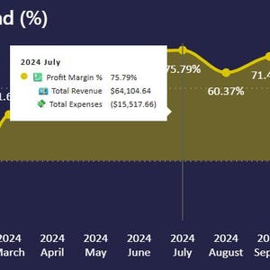 May include: A yellow line graph illustrating the profit margin trend, with percentages displayed along the y-axis and months of 2024 on the x-axis. The graph shows fluctuations, including a peak of 62.98% and a low of -21.34%.