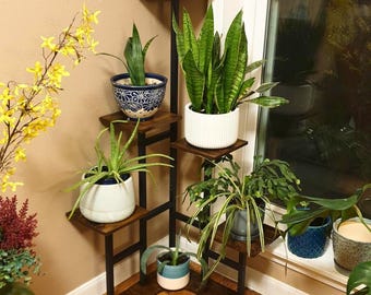 best fertilizer for zz plant Houseplant Fertilizer ZZ Plant, Snake Plant, Fig Tree, Olive Tree 18-6-12+  Micro Nutrients  PowerGrow Systems & Utah Hydroponics