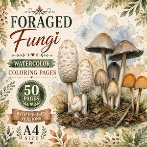 Może przedstawiać: Kolekcja akwarelowych kolorowanek zatytułowana Foraged Fungi, zawierająca 50 stron w formacie A4 z kolorowymi wersjami. Ilustracja przedstawia różne grzyby w odcieniach ziemi, w tym wysokie, kudłate kapelusze oraz mniejsze pomarańczowo-brązowe grzyby, na tle o fakturze liści i akwarelowych plam.