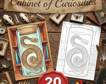 Cabinet of Curiosities Coloring Pages | 20 Adult Gothic Victorian Oddities Collection | Dark Academia Instant Download Printable Sheets