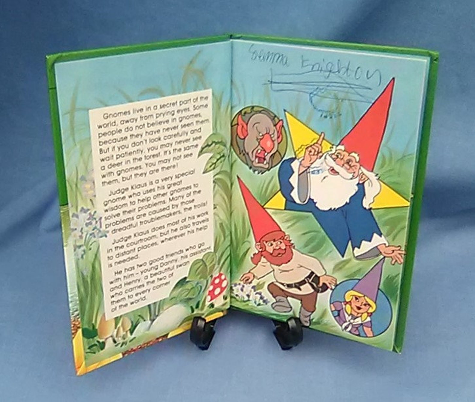 Wisdom of the Gnomes Vintage Ladybird Books David the Gnome Etsy