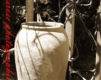 Empty Vessel - Fine Art Landscape Photography - Old Clay Pot in Botanical Garden- 8 1/2" x 11' Print